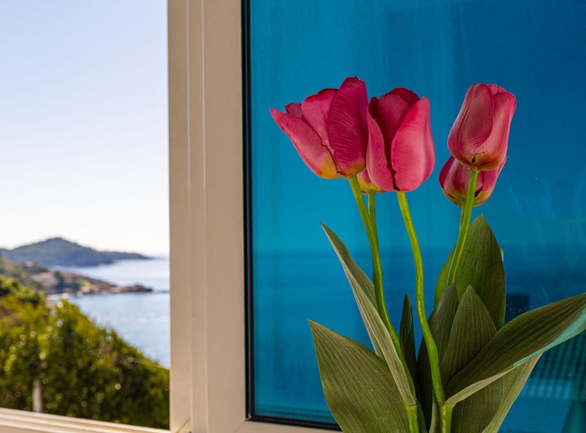 Apartment Butterfly Dubrovnik Dış mekan fotoğraf